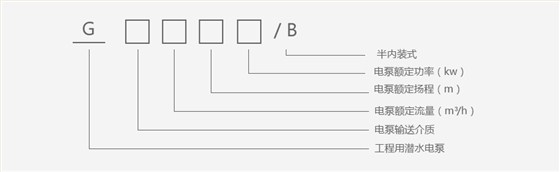 工程水泵型号说明